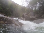 Wilsons Creek 115